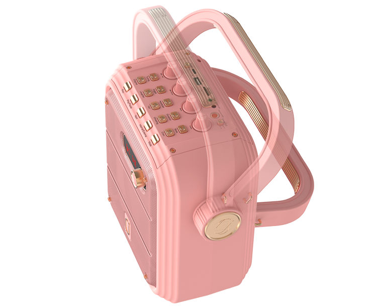 JYX TX02 portable karaoke machine with rotating handle