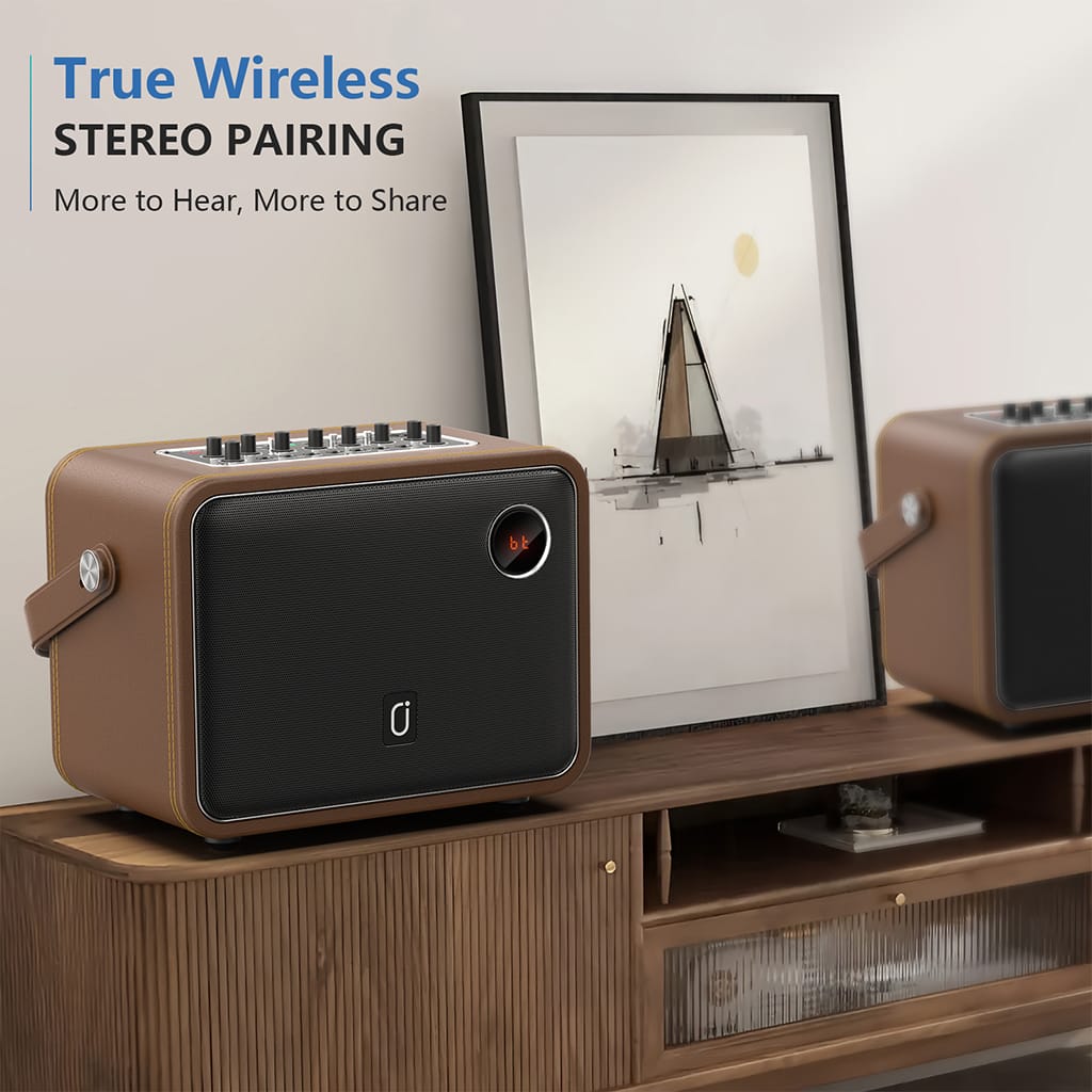 JYX C25 Karaoke Machine with True Wireless