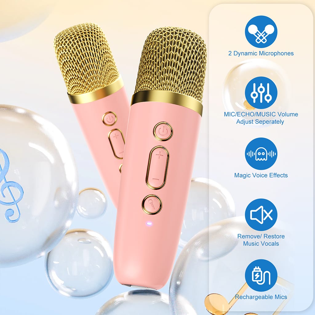 JYX D25 karaoke machine with 2 Dynamic microphones
