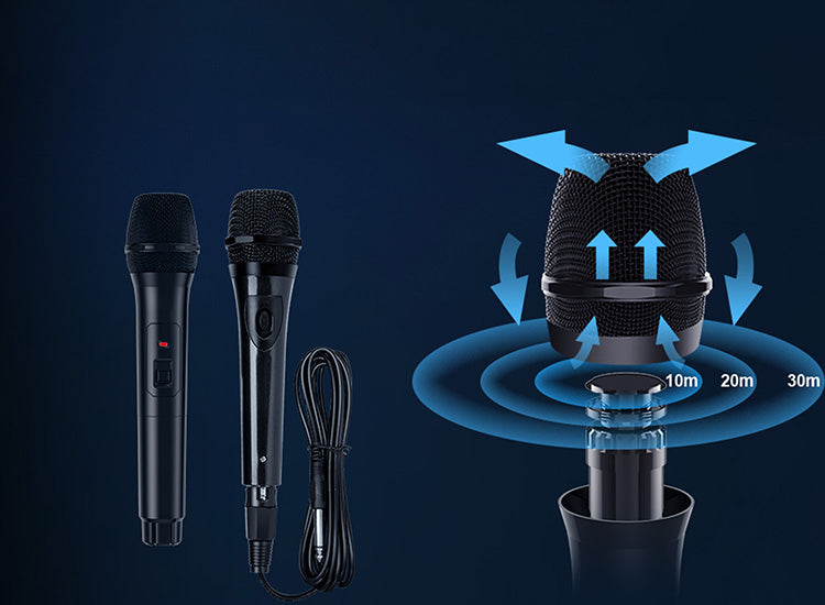 jyx d13 karaoke machine with 2 Anti Noise Microphones