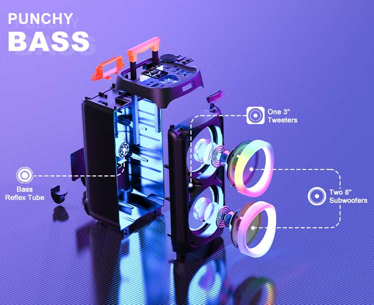 jyx t9 karaoke machine with deep bass