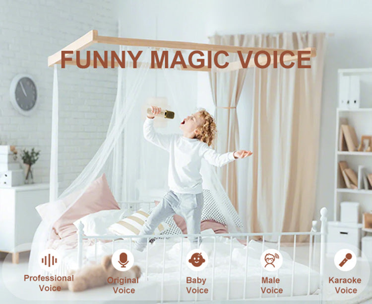 The JYX D55 karaoke box for parties comes with funny magic voice options: Professional Voice, Original Voice, Baby Voice, Male Voice, and Karaoke Voice.