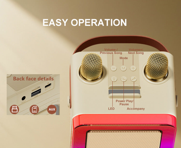 JYX D55 party karaoke box operation panel. Back face details include Volume -, song controls, Mode, AUX, LED, Power, Play/Pause, Accompany.