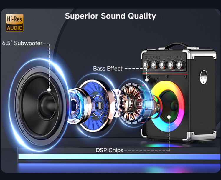 Speaker structure diagram showing Hi-Res audio, superior sound quality, 6.5" subwoofer, bass effect, and DSP chips.