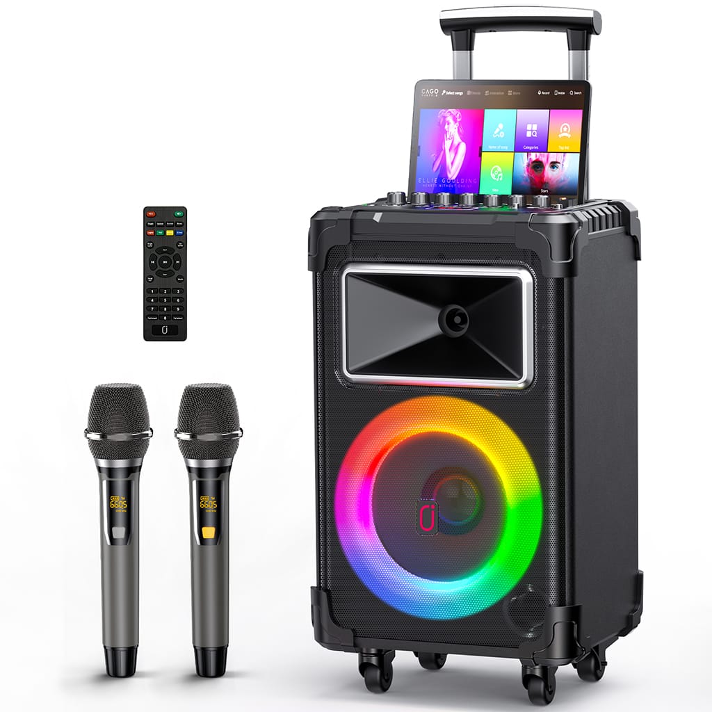 JYX AN20 Karaoke Machine with 2 Wireless Mics and Vocal Elimination