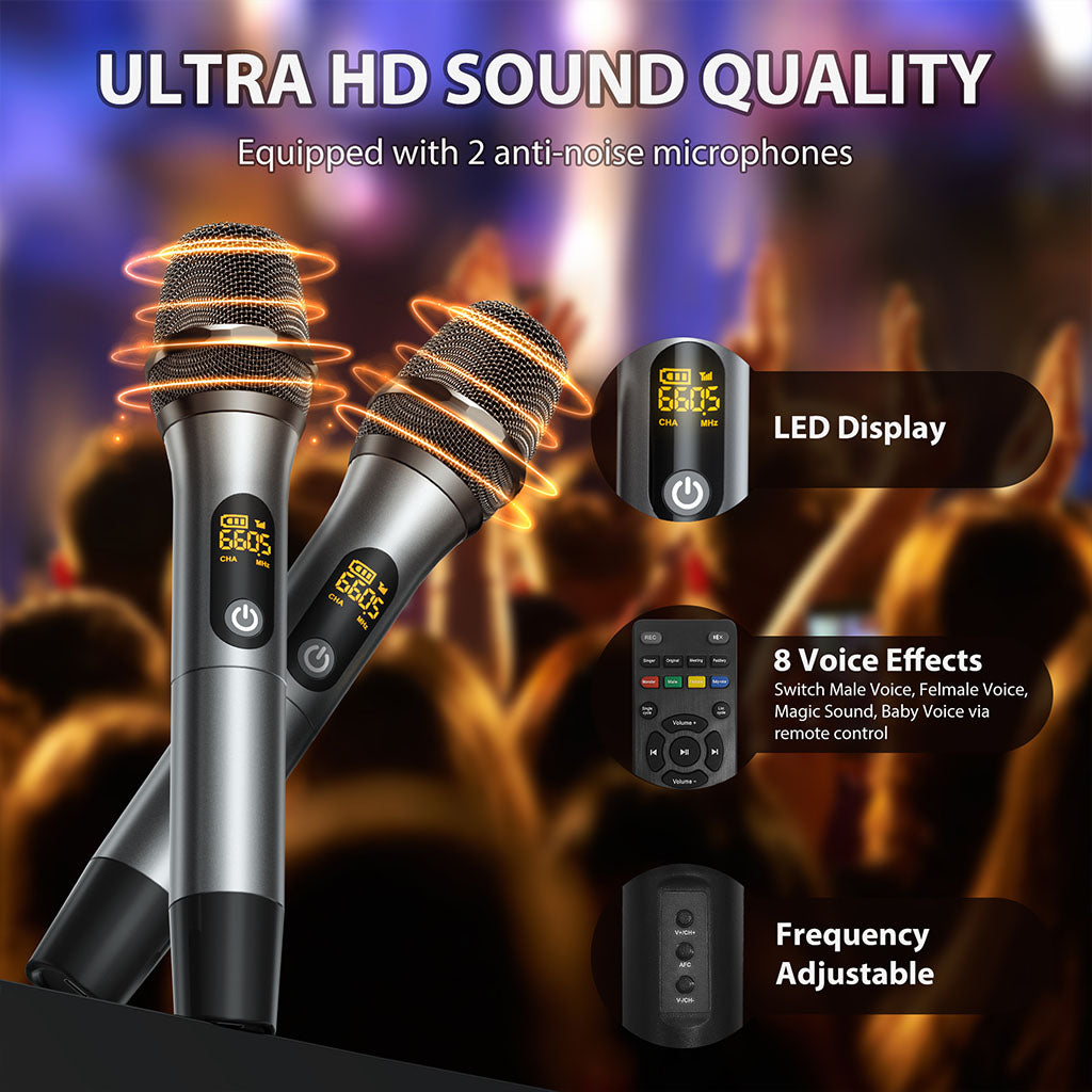 JYX NX202 karaoke with 2 anti-noise mics, LED display, 8 voice effects.