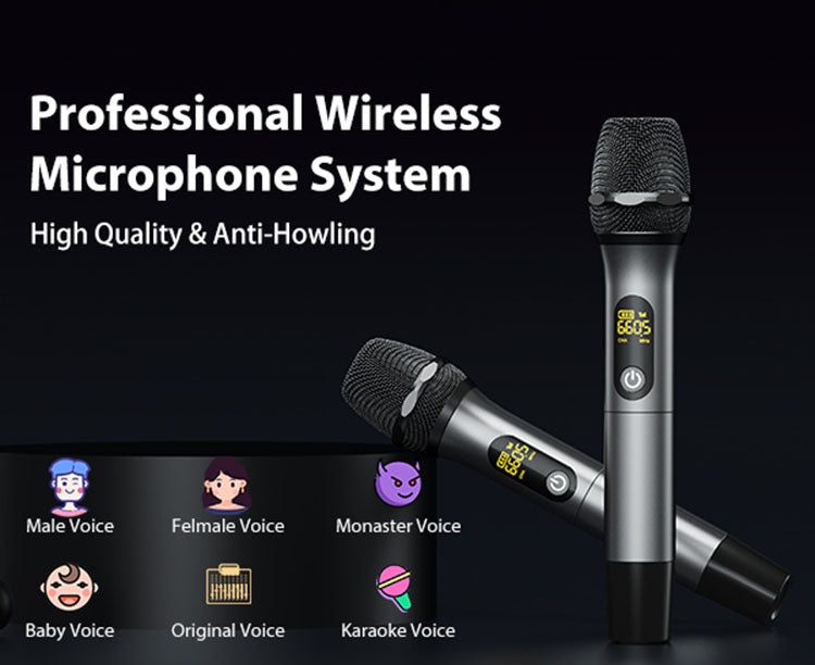 JYX NX202 stereo karaoke machine with wireless mic system, anti-howling, and multiple voice modes.