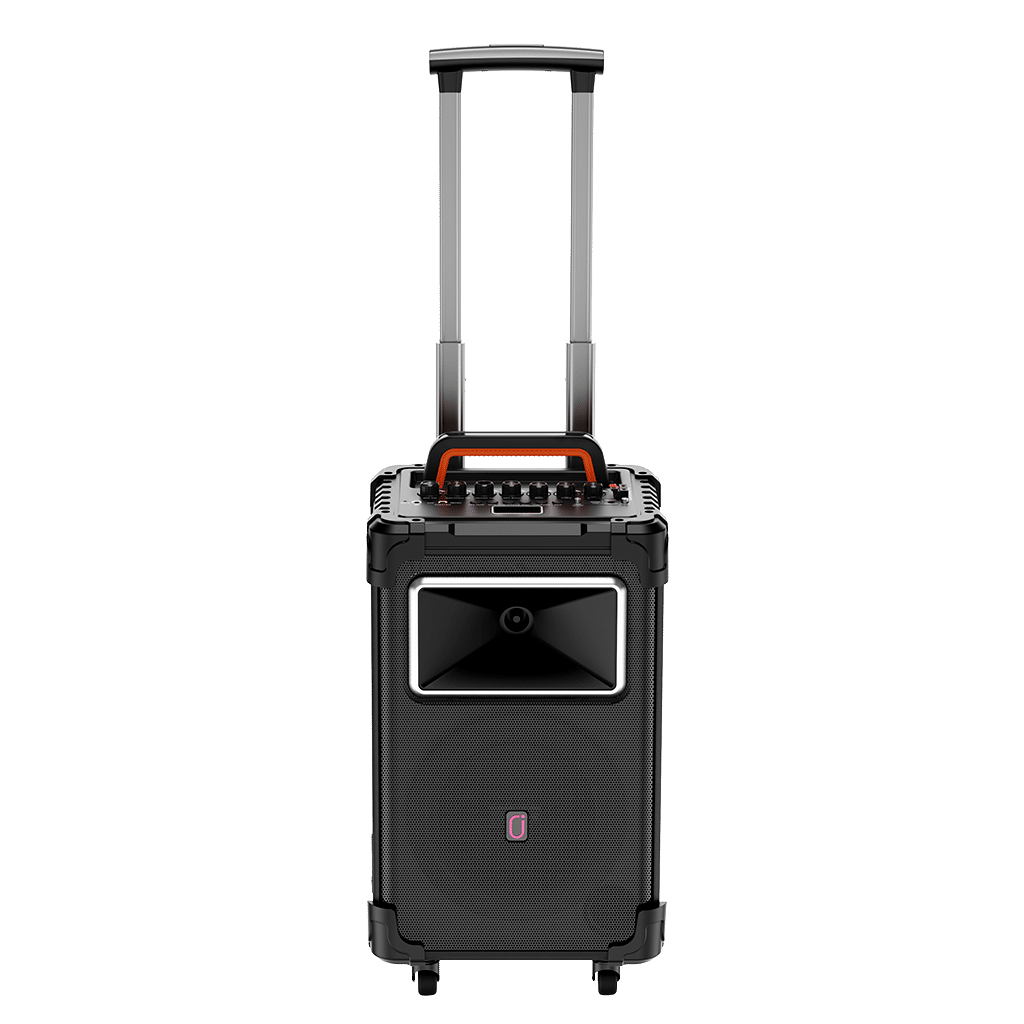 JYX Karaoke Machine With Vocal Elimination 2 Wireless Microphones